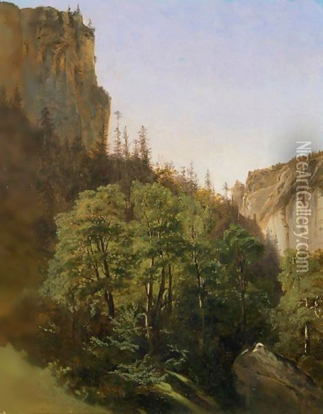 Woods And Rocky Cliffs Oil Painting - Alexandre Calame