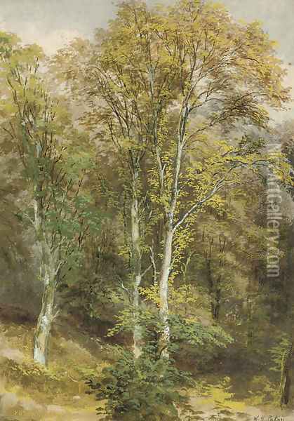 Two woodland scenes Oil Painting - Waller Hugh Paton