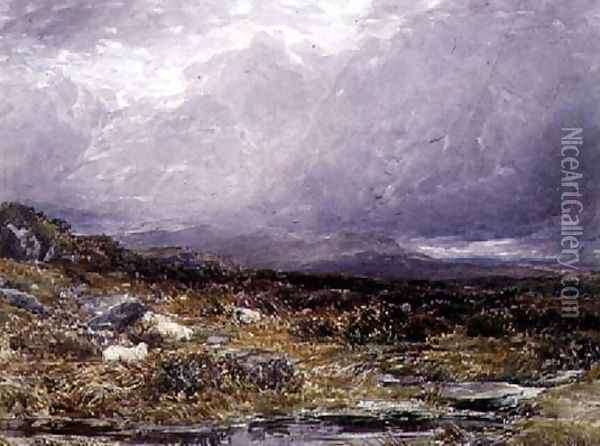 On the Siabod Flats, North Wales Oil Painting - Thomas Collier