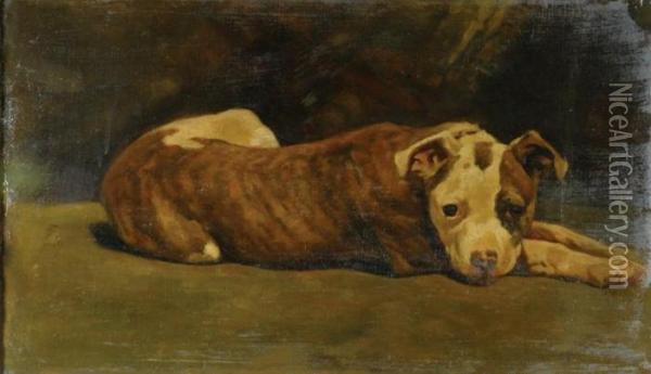 An Observant Friend At Rest Oil Painting - Mary Guise Newcomb