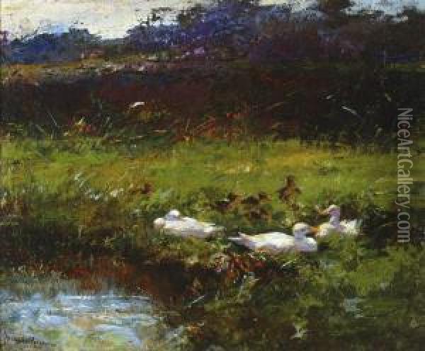 Ducks On A Bank Oil Painting - Fransiscus Willem Helfferich