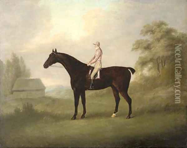A racehorse with jockey up Oil Painting - John Nost Sartorius