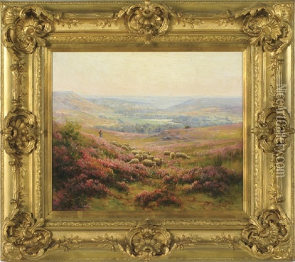 Troupeau De Moutons Dans Un Haut Plateau; Bruyeres En Fleurs Oil Painting - Edouard Pail