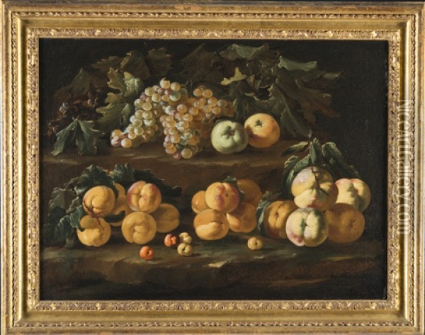 Natura Morta Con Frutta Oil Painting - Bartolomeo Castelli the Younger