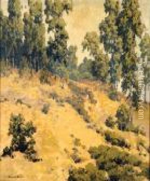 California Landscape Oil Painting - Maurice Braun
