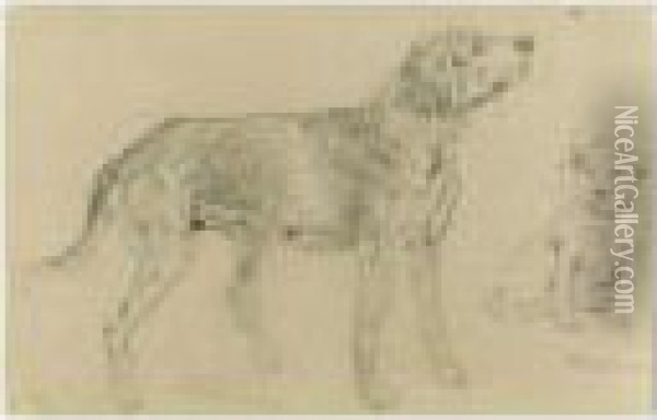 A Hunting Dog Oil Painting - Georg Maximilian Johann Von Dillis