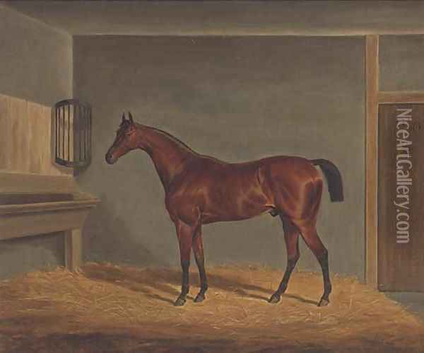 A bay racehorse in a stable Oil Painting - James Loder