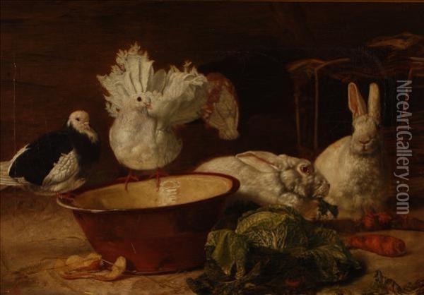 Doves And Rabbits Inan Interior With A Bowl And A Cabbage Oil Painting - R. Baird