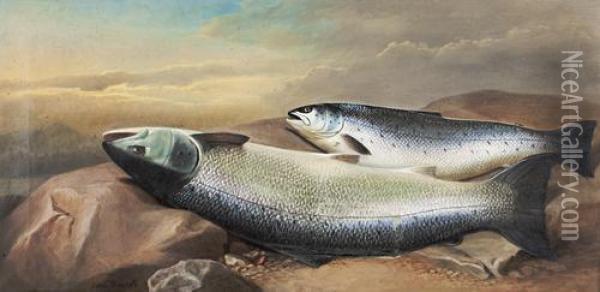 A Salmon And Trout On River Rock Oil Painting - John Russell