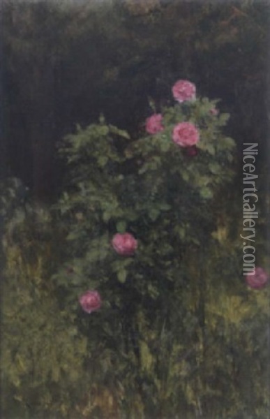 Ein Rosenstrauch Oil Painting - Franz Rumpler