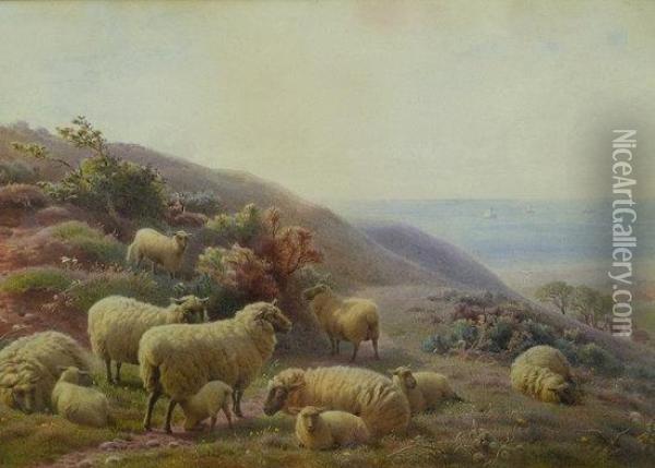Sheep By The Coast Oil Painting - Henry Birtles