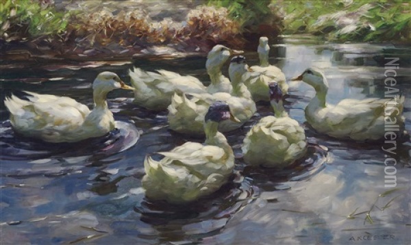 Seven Ducks On Sunny Reed Water Oil Painting - Alexander Max Koester