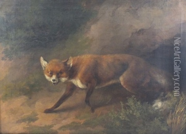 Fox In A Woodland Clearing Oil Painting - George Barret