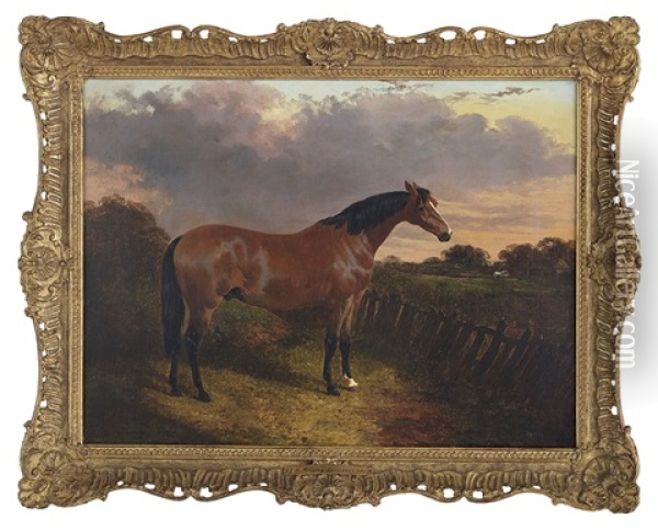 Bay Stallion Oil Painting - John Frederick Herring the Younger