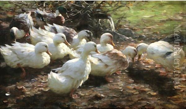 Nine Ducks Oil Painting - Alexander Max Koester
