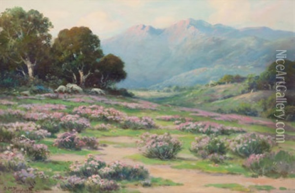 Wild Everlasting (santa Barbara) Oil Painting - Alexis Matthew Podchernikoff