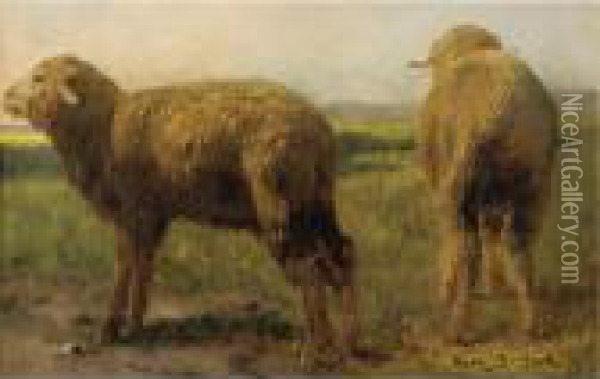 Sheep In A Meadow Oil Painting - Rosa Bonheur