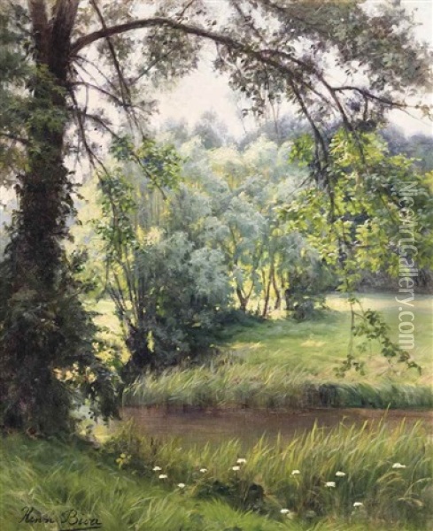 A Woodland River Oil Painting - Henri Biva