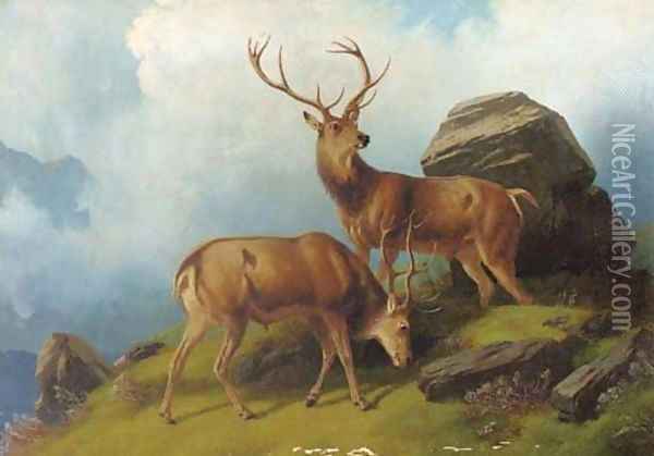 Stags on a mountain Oil Painting - Robert Henry Roe
