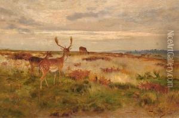 Deer In A Landscape. Oil Painting - Wright Barker