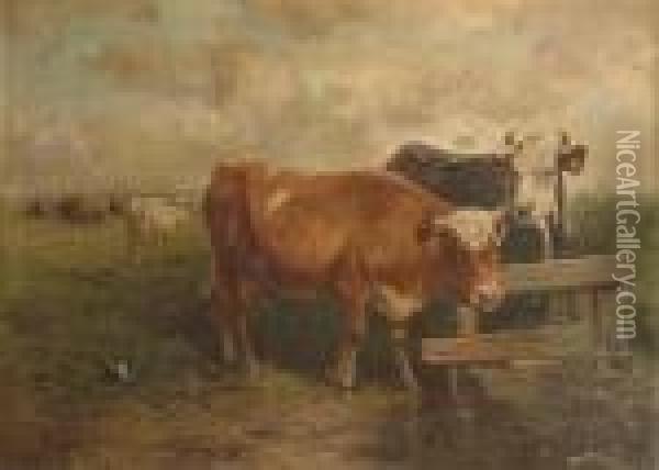 Cattle In A Pasture Oil Painting - Henry Schouten