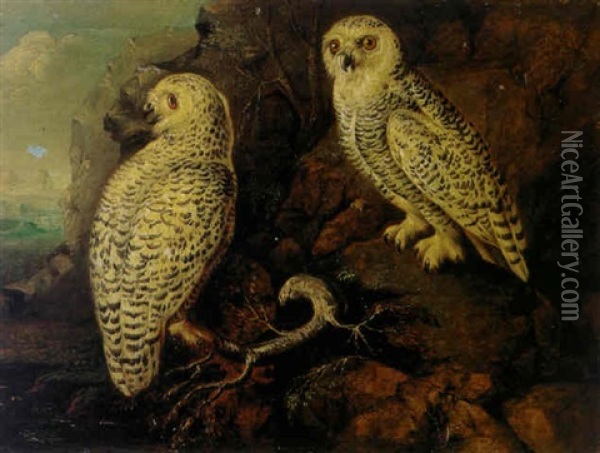 Two Female Snowy Owls In A Mountainous Landscape Oil Painting - Philipp Ferdinand de Hamilton