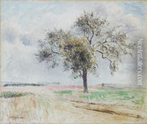 La Plaine De Parmain Oil Painting - Claude Vignon