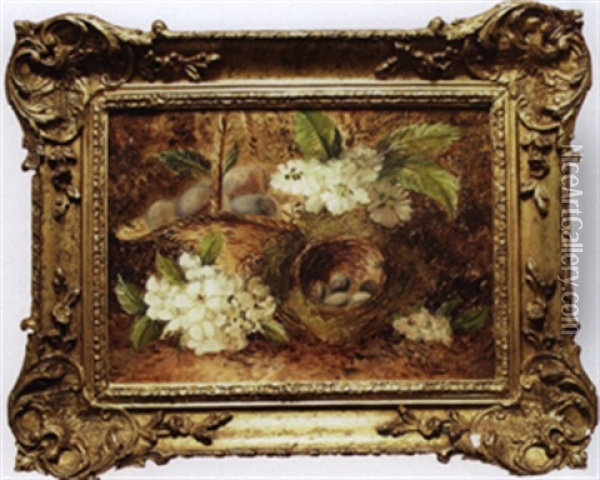 Still Life With Robins Nest And Flowers Oil Painting - Joseph Clare