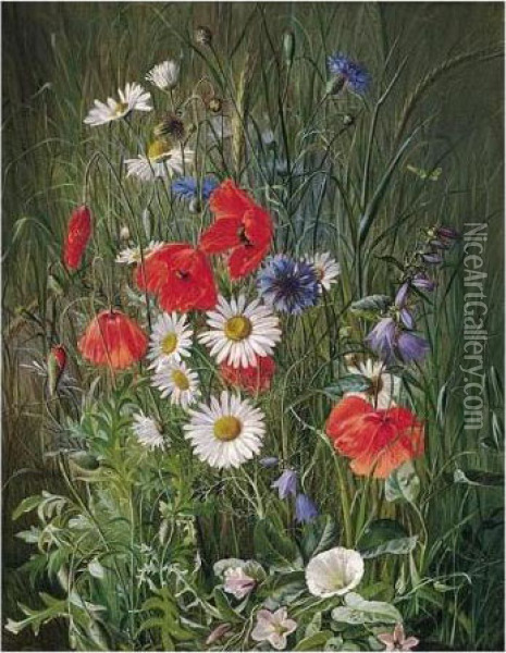 Danske Markblomster, Valmuer, Kornblomster, Margeritter (flowers Of The Field) Oil Painting - Emma Mulvad