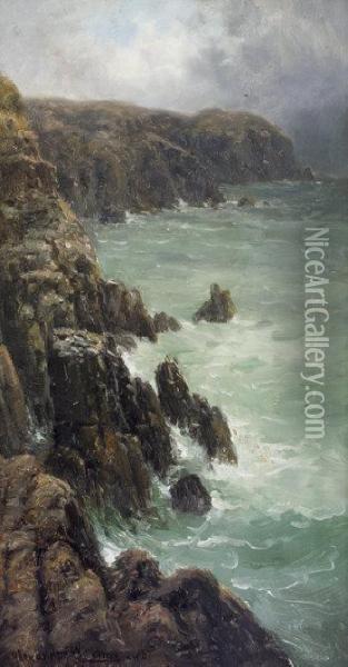 Sea-cliffs, Parkmore Point, Ventry, Dingle Oil Painting - Alexander Williams