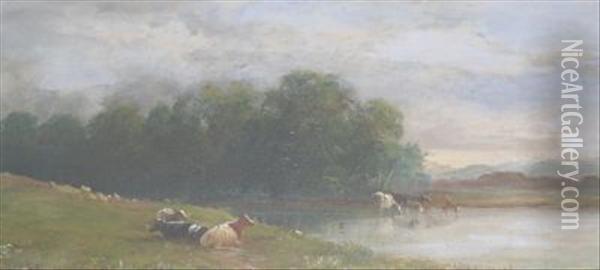 Cattle Watering At Dusk Oil Painting - Henry Harris