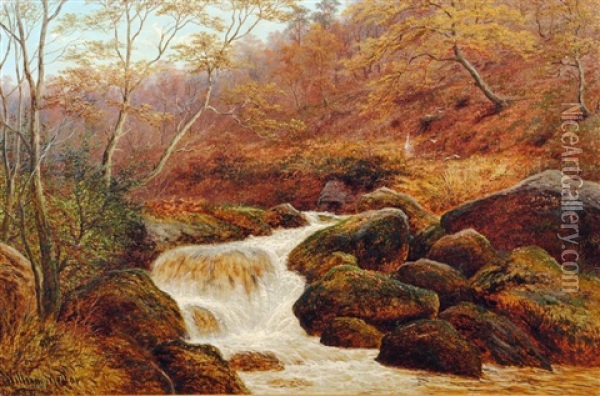 On The Burbage, Padley Woods, Derbyshire Oil Painting - William Mellor
