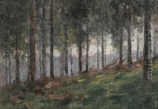 Waldstuck Bei Schonau Im Schwarzwald Oil Painting - Nelson Gray Kinsley