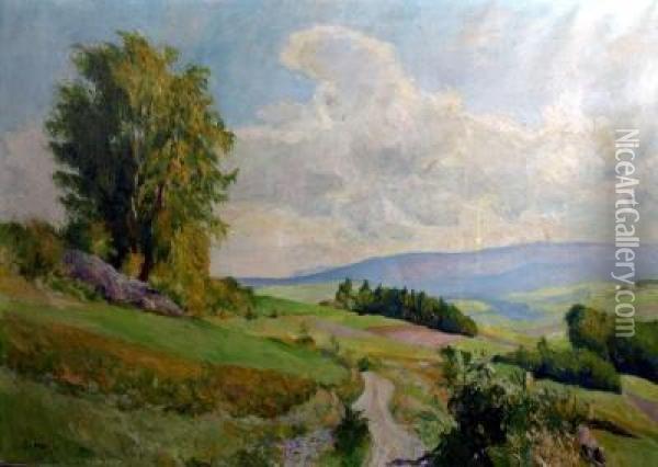 Sommerliche Gebirgslandschaft Oil Painting - Georg Hohlig