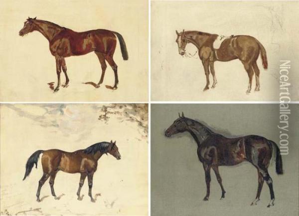 Sketch Of Minoru, A Bay Horse Oil Painting - James Lynwood Palmer