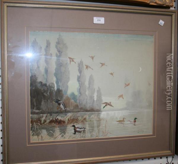 Mallards Dropping In Oil Painting - Binks, R. Ward