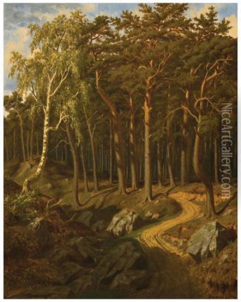 Forest Path Oil Painting - Josif Evstaf'Evic Krackovskij