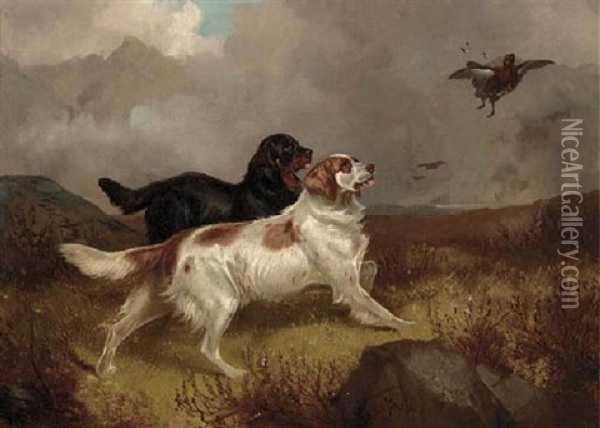 Setters Flushing Out Grouse Oil Painting - Colin Graeme