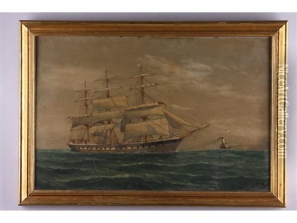 Sailing Ship Oil Painting - Luca Papaluca