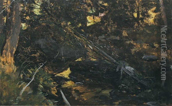 Blick Auf Das Waldnaab-ufer Bei Windisch-eschenbach Oil Painting - Eugen Felix Prosper Bracht