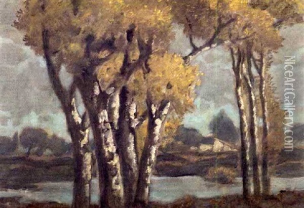 Birken An Einem Teich Im Abendlicht Oil Painting - Ludwig Dill