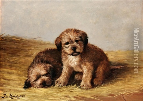 Hundvalpar Oil Painting - Johan-Gustaf von Holst