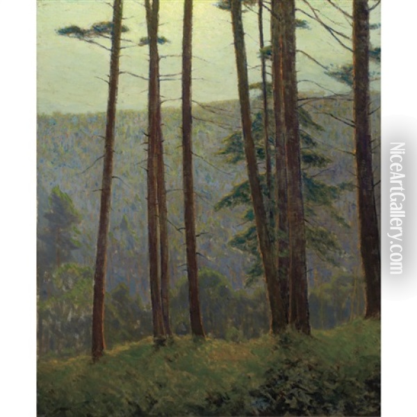 In Pennsylvania Woods (silhouette Pines) Oil Painting - Charles Warren Eaton