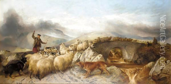 Collecting Sheep For Clipping In The Highlands Oil Painting - Richard Ansdell