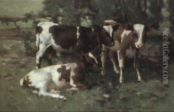 Calves By A Water Trough Oil Painting - David Gauld