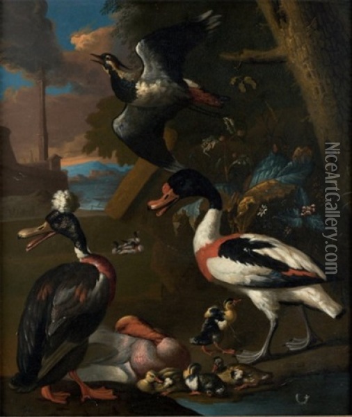 Oiseaux De Nuit Oil Painting - Adriaen van Oolen