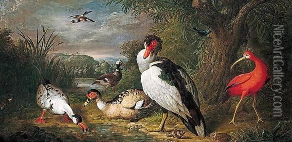 A Muscovy Duck, A Red Ibis And Other Fowl In A Landscape Oil Painting - Tobias Stranover