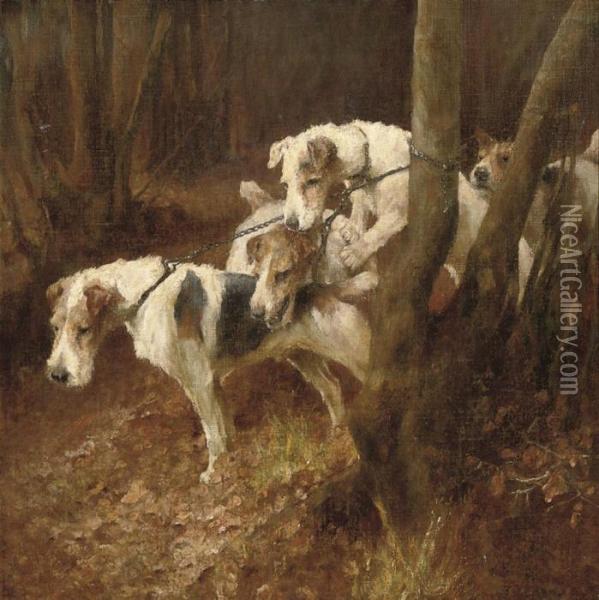 Fox Terriers Oil Painting - Arthur Wardle