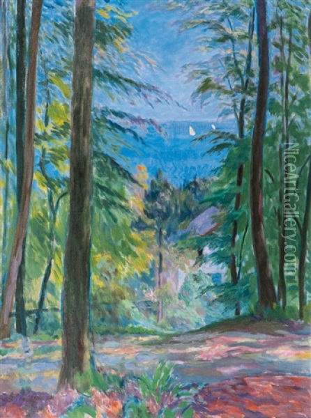 Blick Vom Hirschpark Auf Die Elbe Oil Painting - Paul Kayser