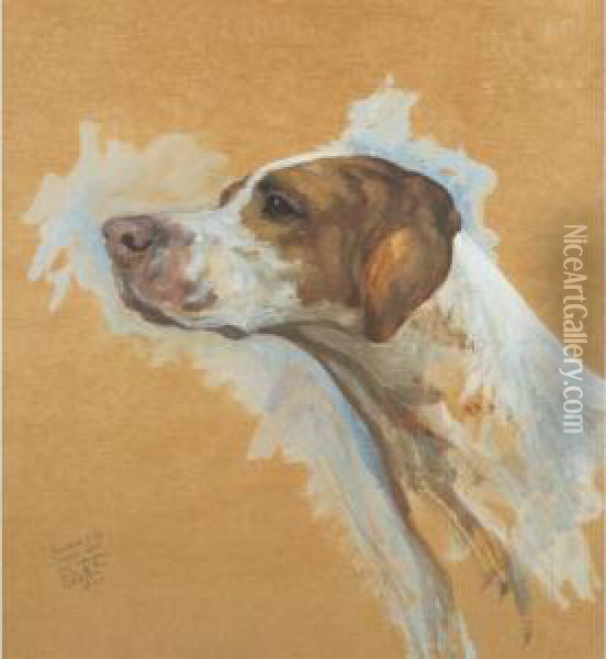 Head Study Of An American Pointer Oil Painting - Maud Earl